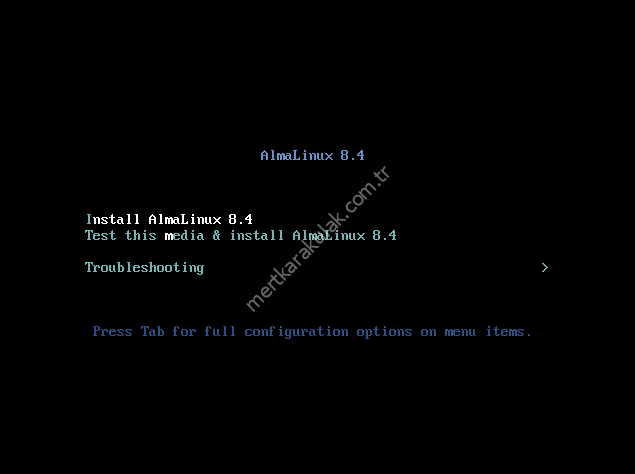 AlmaLinux 8 Server Kurulumu
