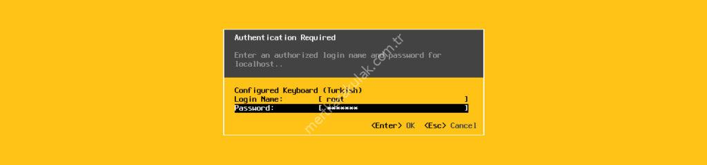 VMware vSphere ESXi 6.7 Kurulumu ve Yapılandırması